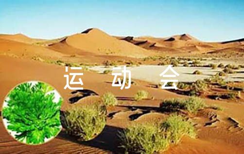 哪里可以找到关于篮球心理训练的资源_2